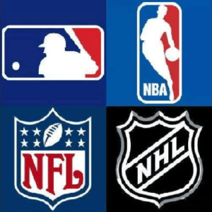 Sports Leagues​